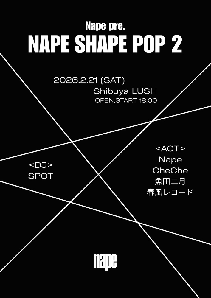 NAPE SHAPE POP 2 フライヤー